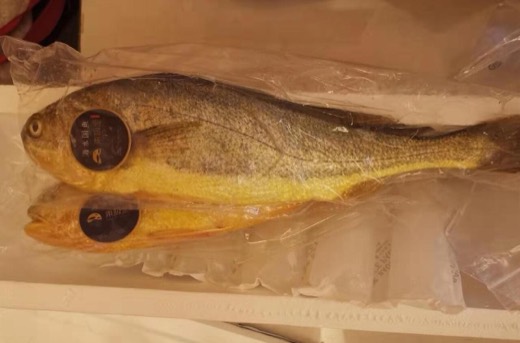 大黃魚的照片