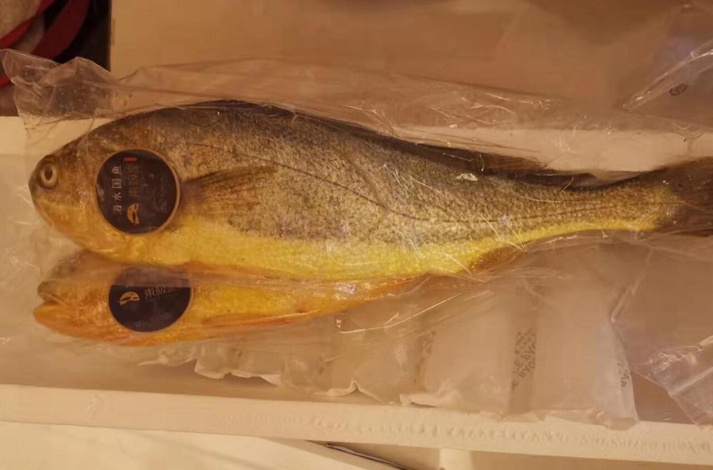 大黃魚的照片